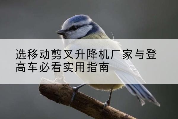 万源电动升降机厂家-选移动剪叉升降机厂家与登高车必看实用指南