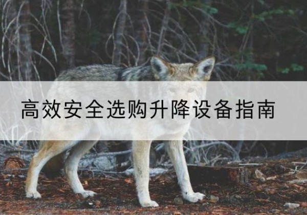 万源升降货梯厂家推荐-*安全选购升降设备指南
