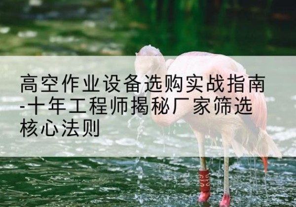 万源剪叉式升降机厂家-高空作业设备选购实战指南-十年工程师揭秘厂家筛选核心法则